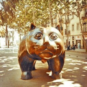 El gato de el Raval en Barcelona - Foto @mundukos